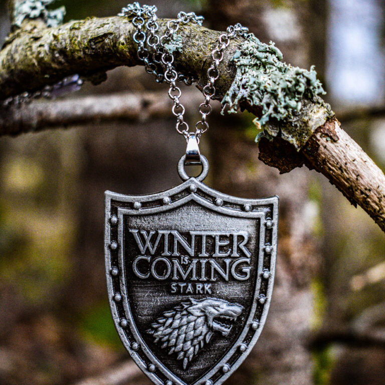 Winter is coming kaelakee esipilt
